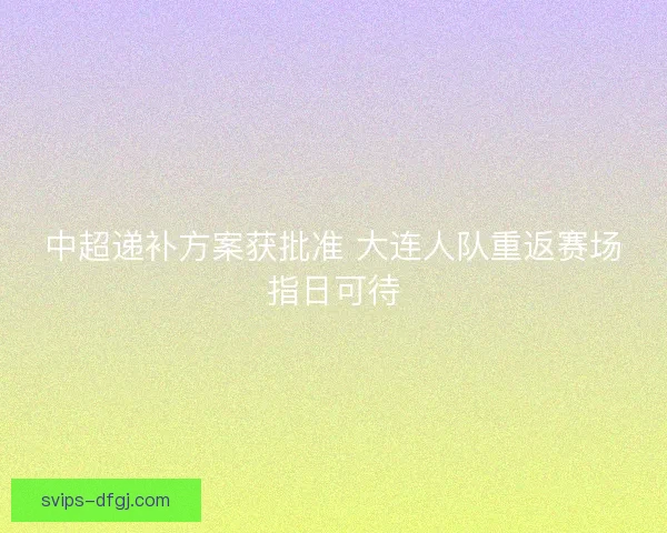 中超递补方案获批准 大连人队重返赛场指日可待