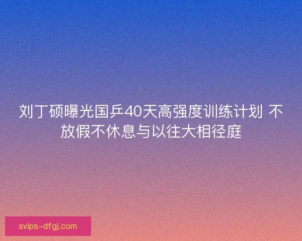 刘丁硕曝光国乒40天高强度训练计划 不放假不休息与以往大相径庭